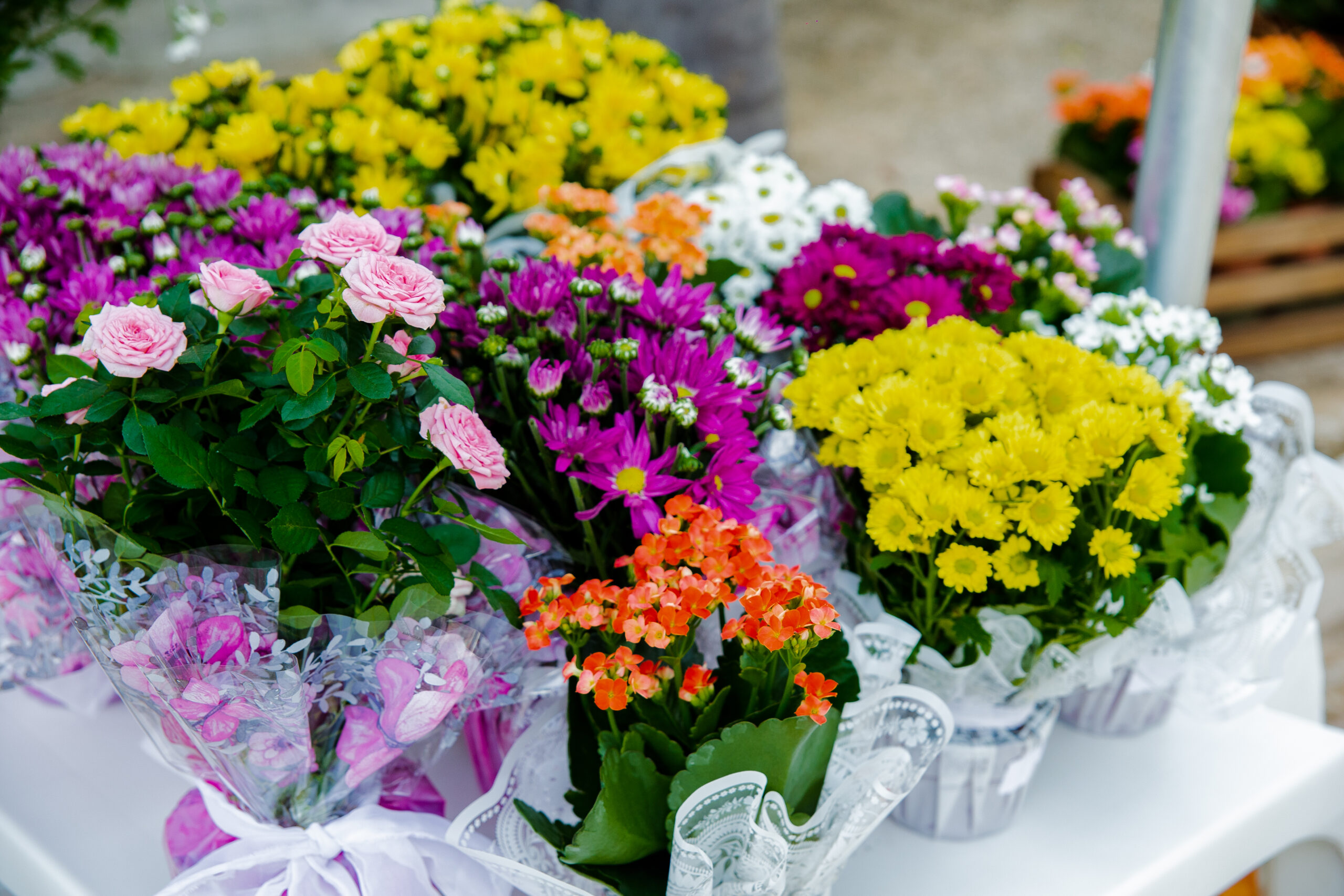 Flores Para Velório 9 Mais Comuns e Como Escolher