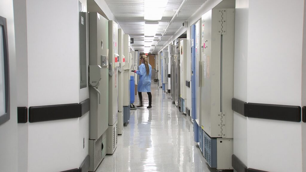 imagem ilustra texto sobre eutanásia no brasil. vê-se o corredor de um hospital, com uma médica ao fundo