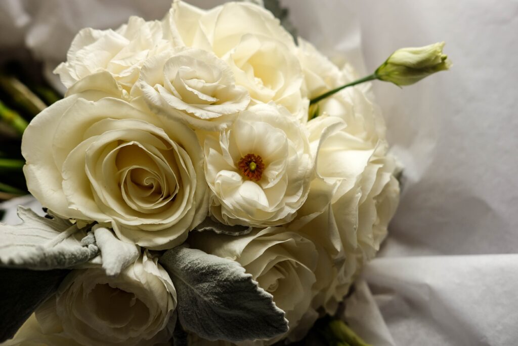 Rosa Branca flor para velório