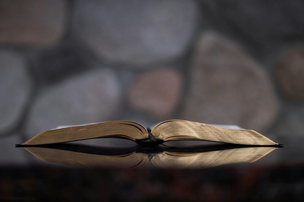 4 Salmos Para Quem Perdeu um Ente Querido – Leitura e Consolo
